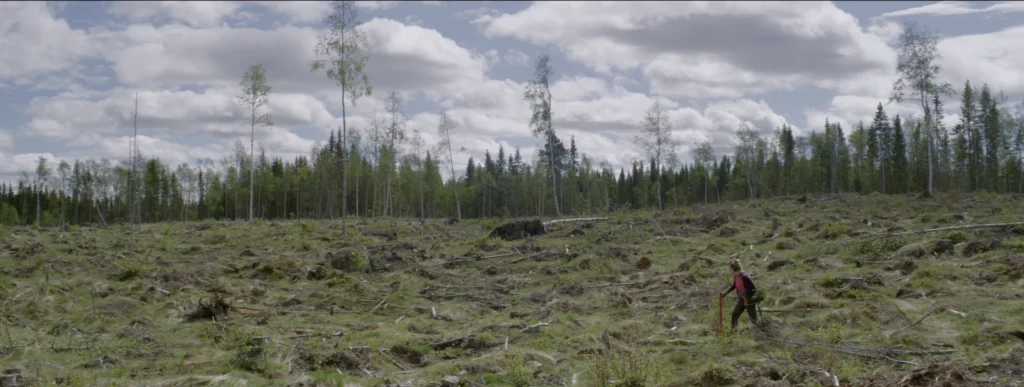 Persson Invest — film still 4